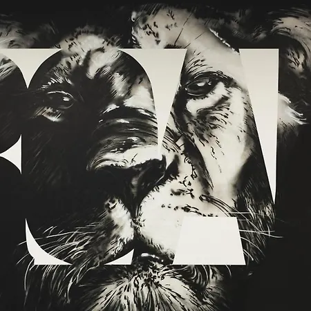 The Niu Leo - 3*